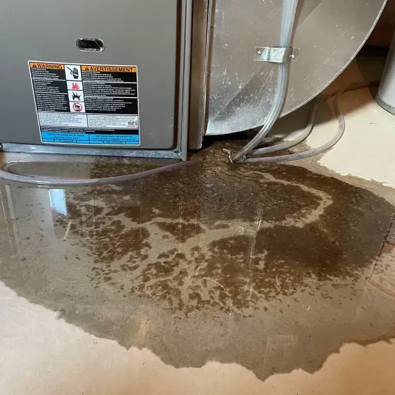 Appliance Leak Cleanup in Riva, MD